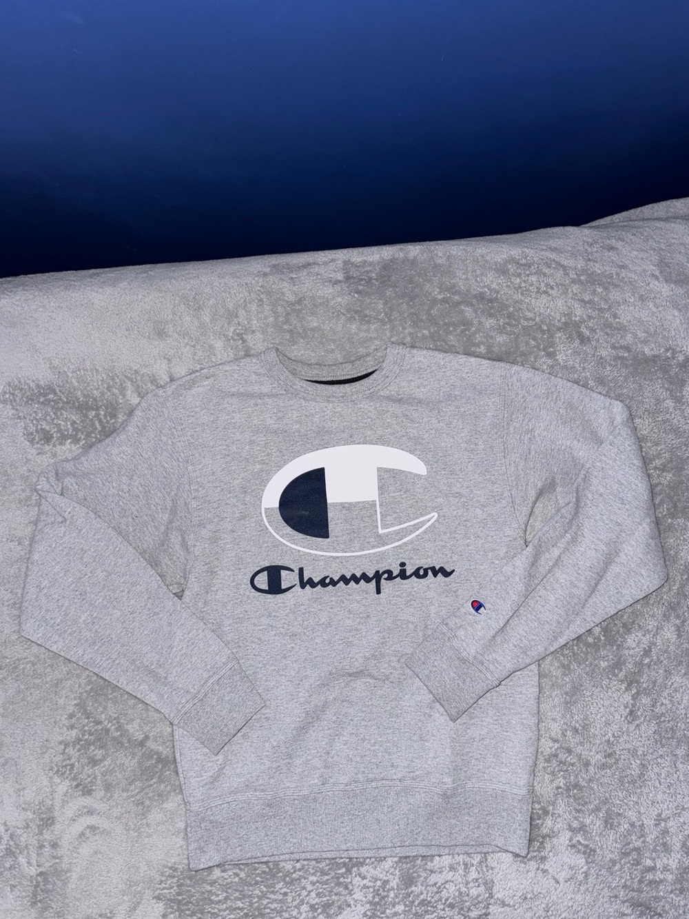 Mens Champion Crewneck Sweatshirt Gray